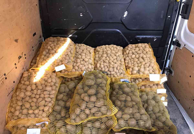 Kartoffeln und Äpfel Lučenec - Foto 4