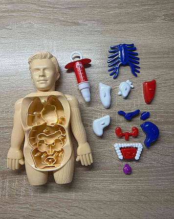 Összecsukható emberi test modell Pelhřimov - fotó 3