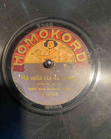 Koupím staré gramofonové desky - nabízím i 100 € za kus Košice - foto 6