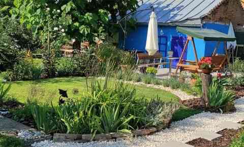 Jarná údržba okrasných záhrad - verejných priestorov Трнава