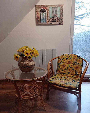 Комплект из ротанга - стол и стул. Кошице - изображение 1