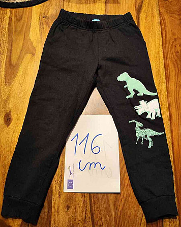 Черные детские спортивные штаны 116 см (5-6 лет) Братислава - изображение 1