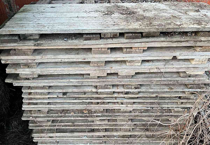 Holzböden für Gerüste 75 Stk Lewenz - Foto 1