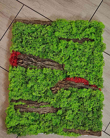 2D and moss paintings Sellye - photo 15