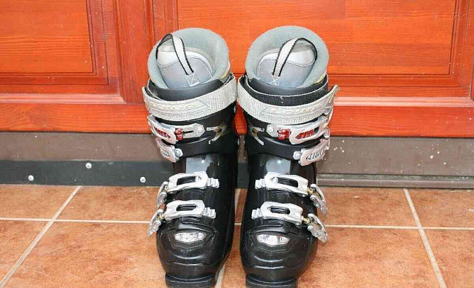 лыжи Volkl RaceTiger 150см, лыжные ботинки lowa 39 Пухов - изображение 9