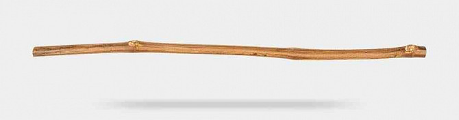 Виноградная лоза Грюнер Вельтлинер, черенки Нитра - изображение 1