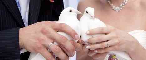 Vypustenie svadobných holubov Besztercebánya