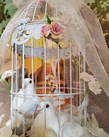 Vypustenie svadobných holubov Банска-Бистрица