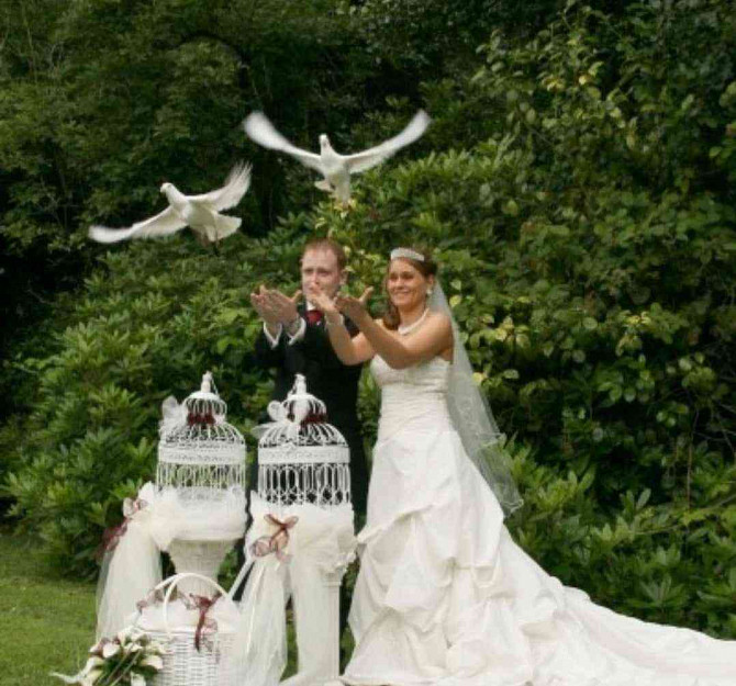 Выпуск свадебных голубей Банска-Бистрица - изображение 7