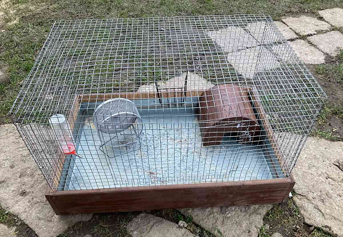 Käfig für Meerschweinchen, Kaninchen oder Hamster Tetschen-Bodenbach - Foto 1