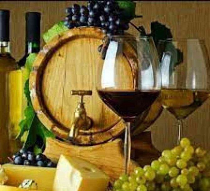 Tokajské sudové vino - domácí Trebišov - foto 1