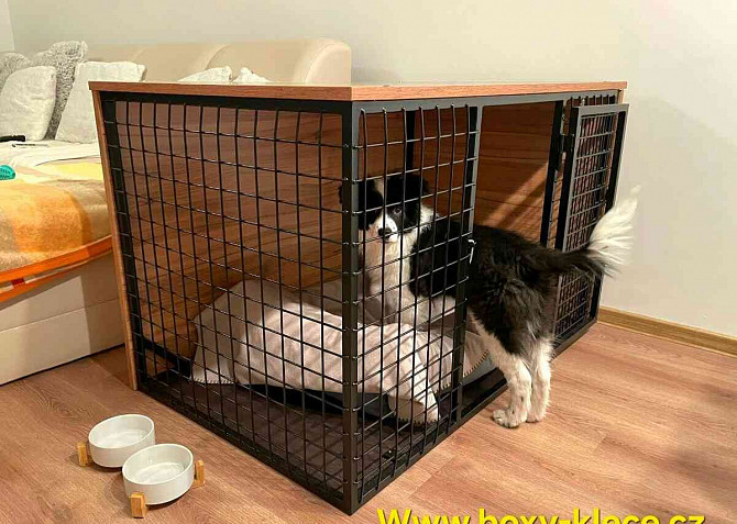 Dog cage-Interior Hradec Kralove - photo 2