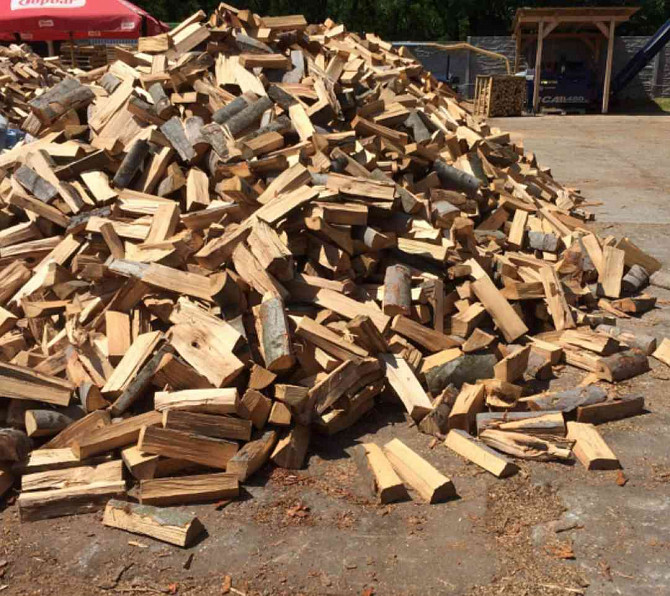Weiches und hartes Brennholz zu verkaufen Senitz - Foto 3
