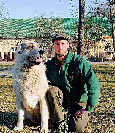 Zentralasiatischer Schäferhund - Welpen mit PP Slowakei - Foto 11