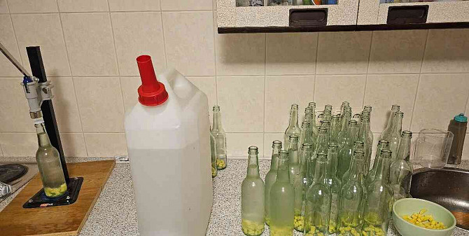 Birkenwasser, sowohl frisches als auch letztjähriges Flaschenwasser Sillein - Foto 2
