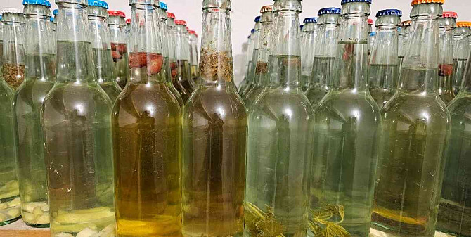 Birkenwasser, sowohl frisches als auch letztjähriges Flaschenwasser Sillein - Foto 6