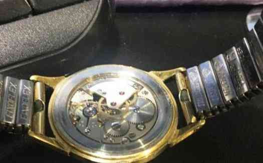 мужские наручные часы DUGENA 444 Alpina Братислава - изображение 6