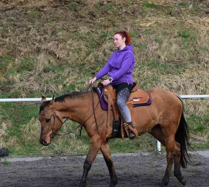 Admitting a Quarter Horse grullo stallion Zlin - photo 13
