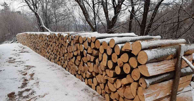 продам дрова Ilava - изображение 1