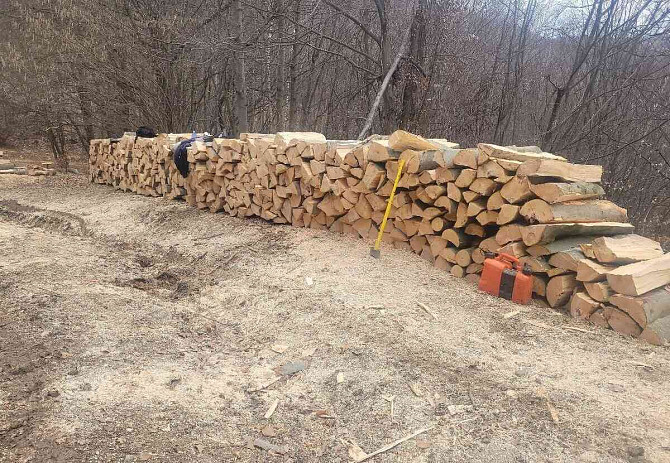 продам дрова Ilava - изображение 2