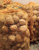 Sadbové a konzumné zemiaky SORAYA, MILVA Puhó