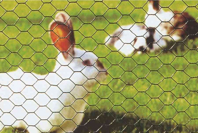 Geflügelnetz für Kaninchen, Hühner. Zuchtnetz Senec - Foto 1