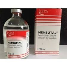 98.99% Pure Nembutal (sodium pentobarbital) for sale Pills, liquid and powder Prague - photo 1