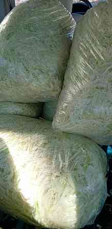 Frissen gyalult agressor káposzta 10 kg-os kiszerelés Kisvárda